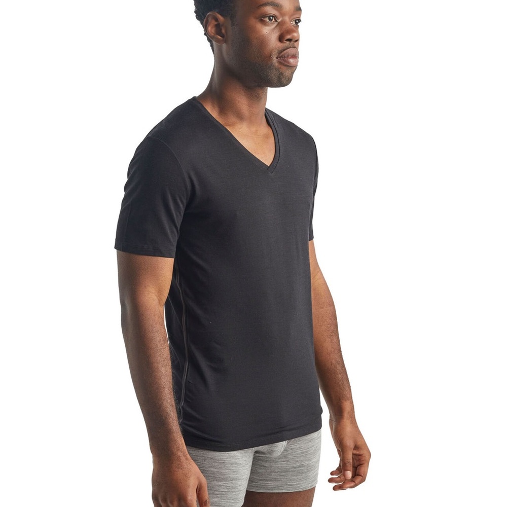 Icebreaker t-shirt men’s small vguc